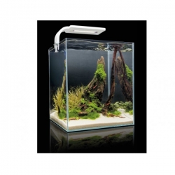 Aquael Shrimp Set Smart  30 Czarny